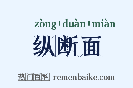纵断面是什么意思的图片
